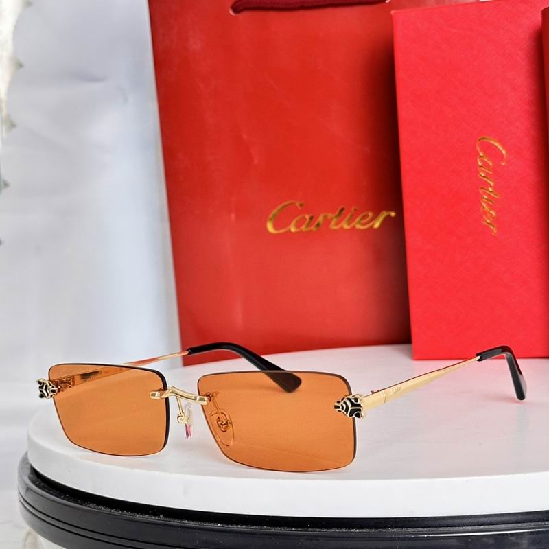 Cartier Glasses smr (43)