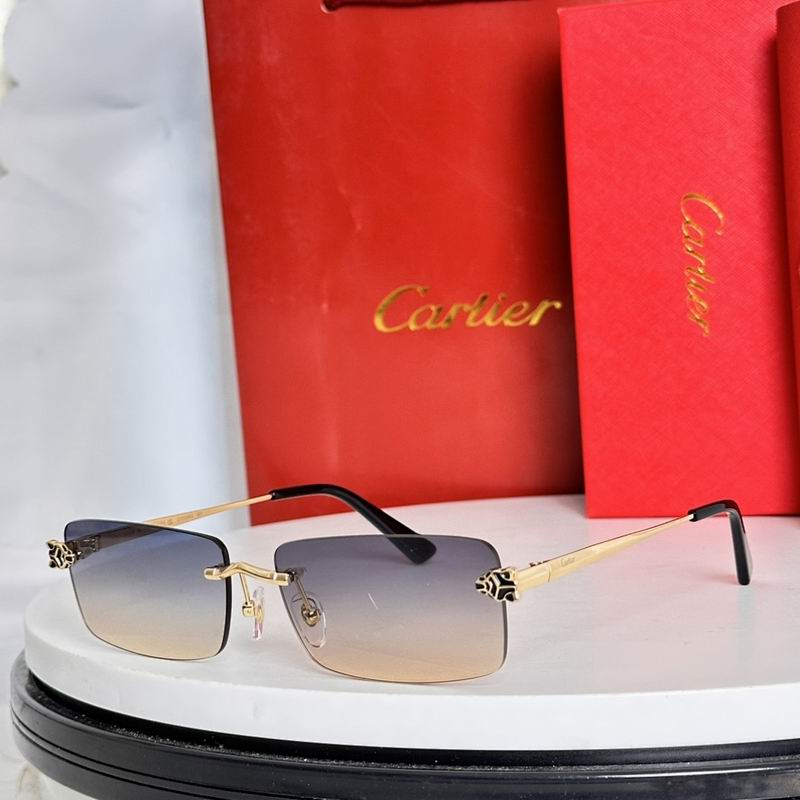 Cartier Glasses smr (44)