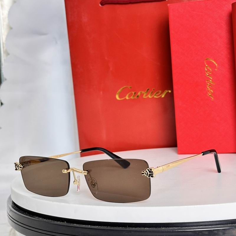 Cartier Glasses smr (47)