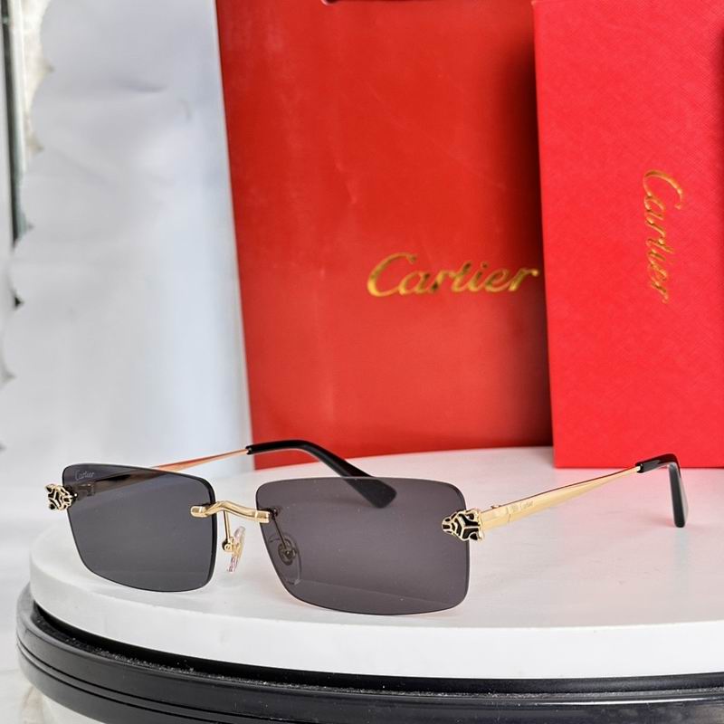 Cartier Glasses smr (48)