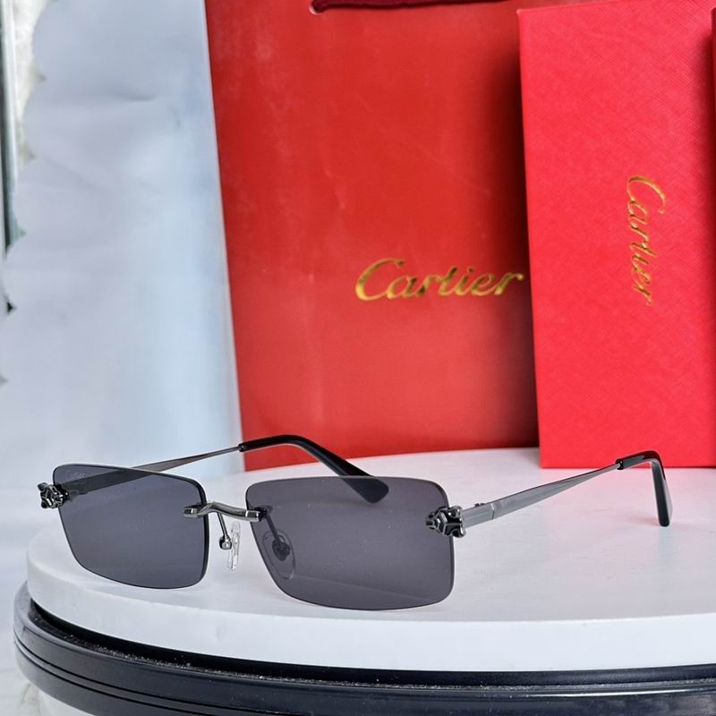 Cartier Glasses smr (49)