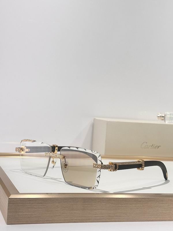 Cartier Glasses smr (51)