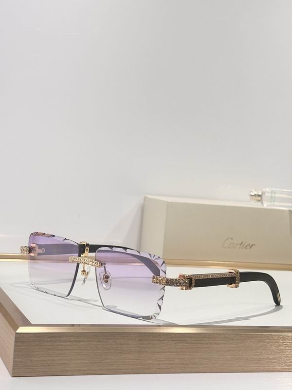Cartier Glasses smr (52)