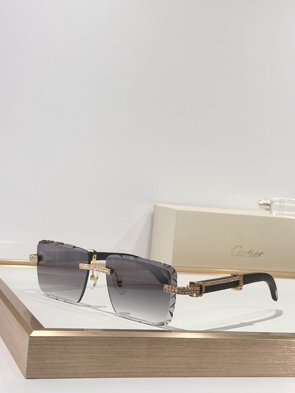 Cartier Glasses smr (53)
