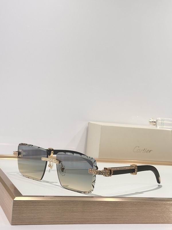 Cartier Glasses smr (54)
