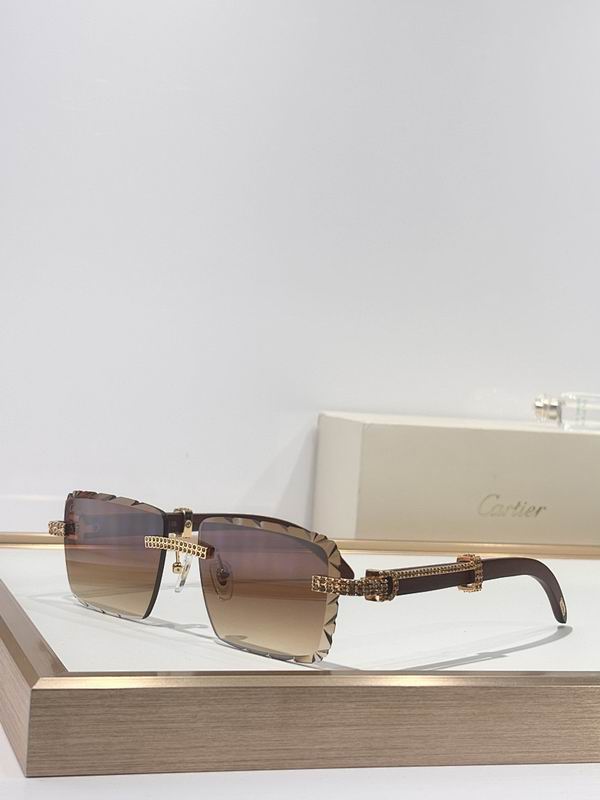 Cartier Glasses smr (55)