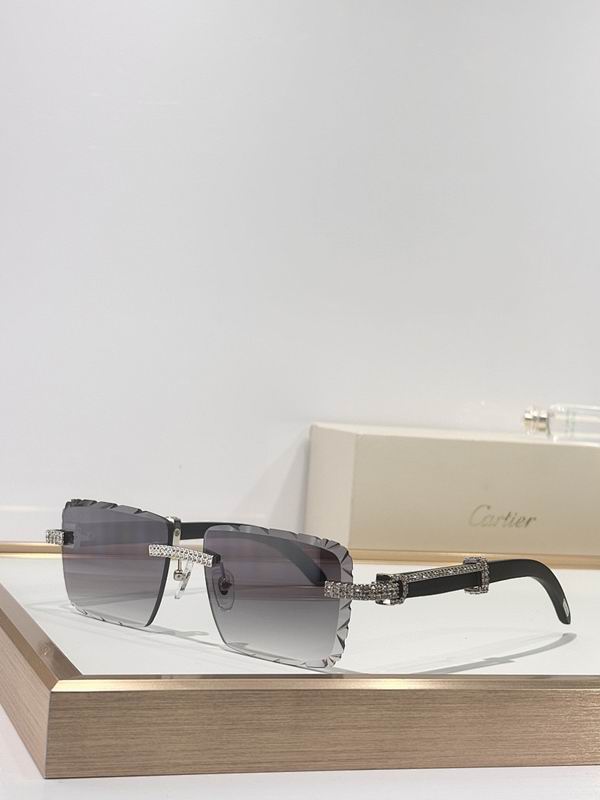 Cartier Glasses smr (56)