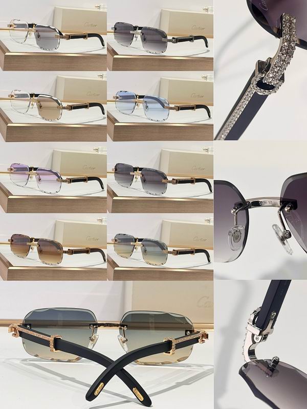 Cartier Glasses smr (57)