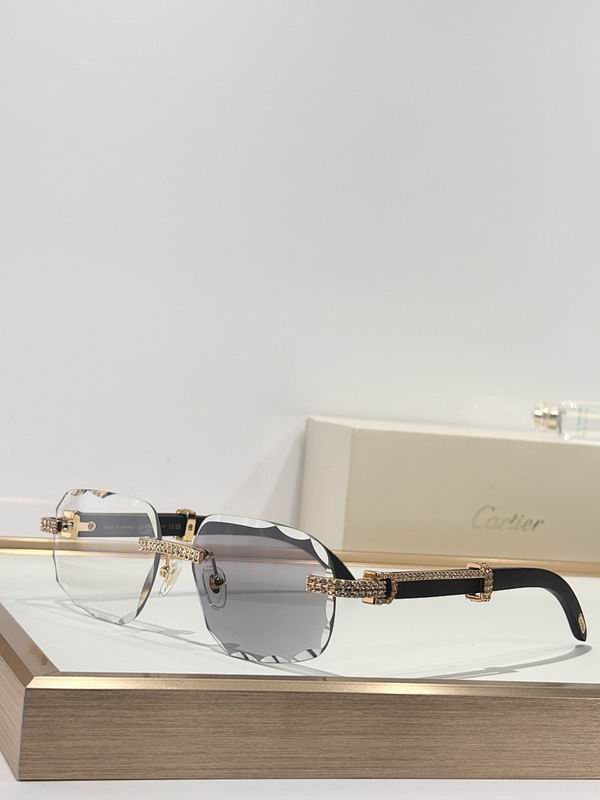 Cartier Glasses smr (58)