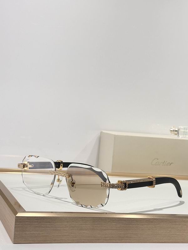 Cartier Glasses smr (59)