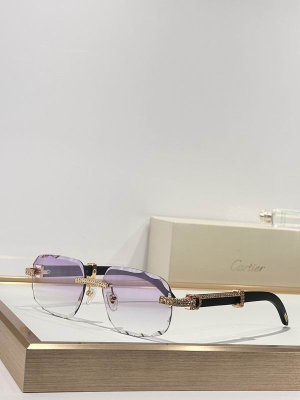 Cartier Glasses smr (60)