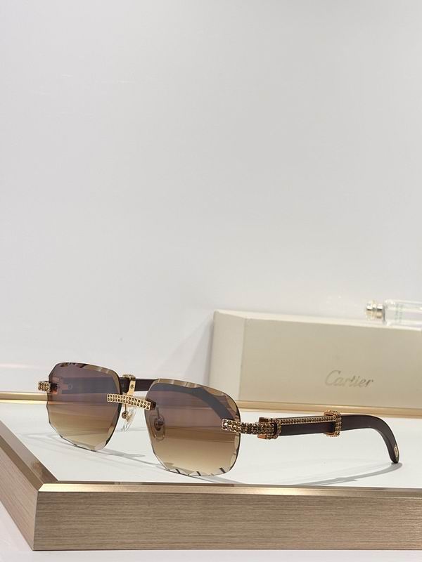 Cartier Glasses smr (61)