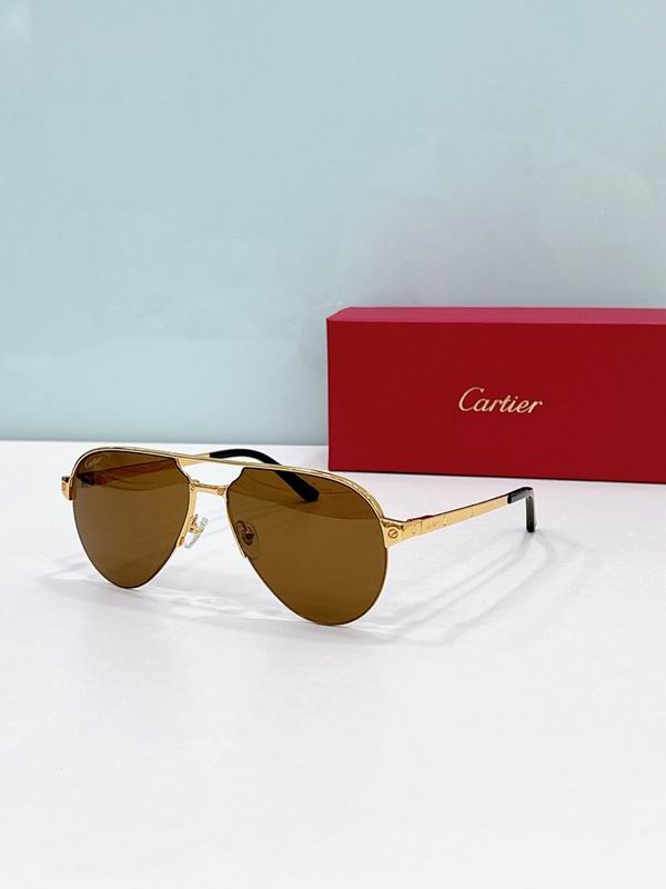 Cartier Glasses smr (621)
