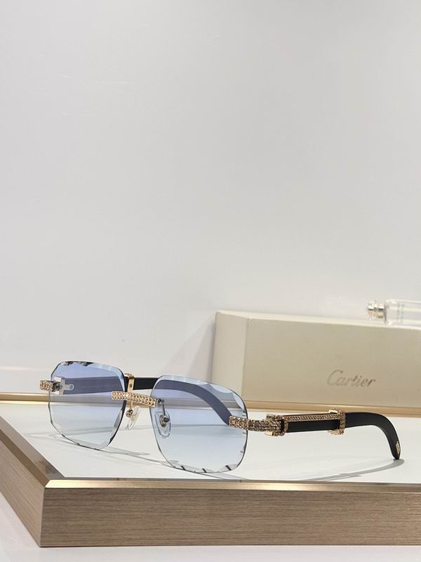 Cartier Glasses smr (63)