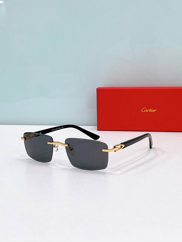 Cartier Glasses smr (635)