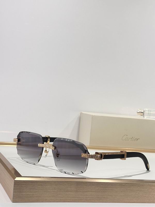 Cartier Glasses smr (64)