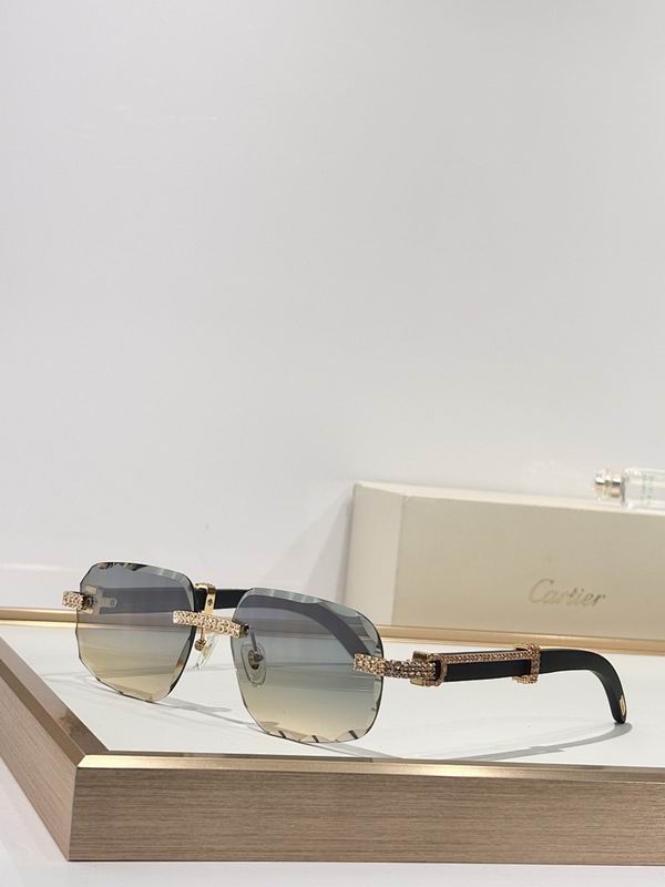 Cartier Glasses smr (65)