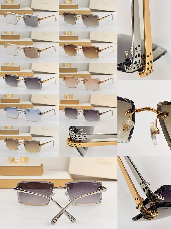 Cartier Glasses smr (67)