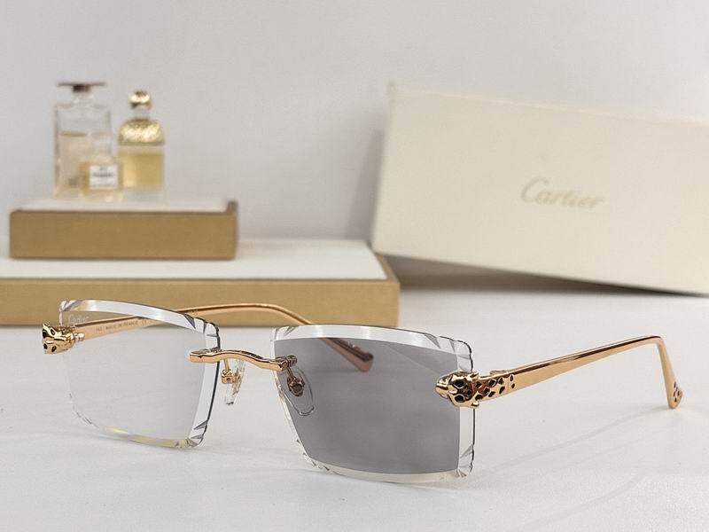Cartier Glasses smr (68)