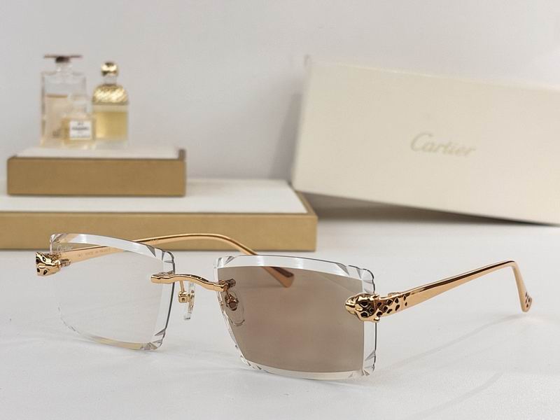 Cartier Glasses smr (69)
