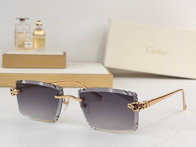 Cartier Glasses smr (70)