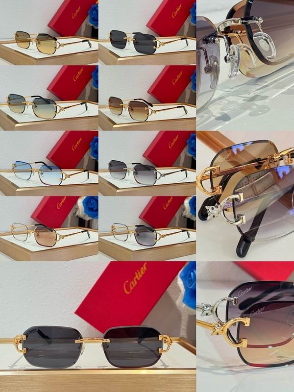 Cartier Glasses smr (706)