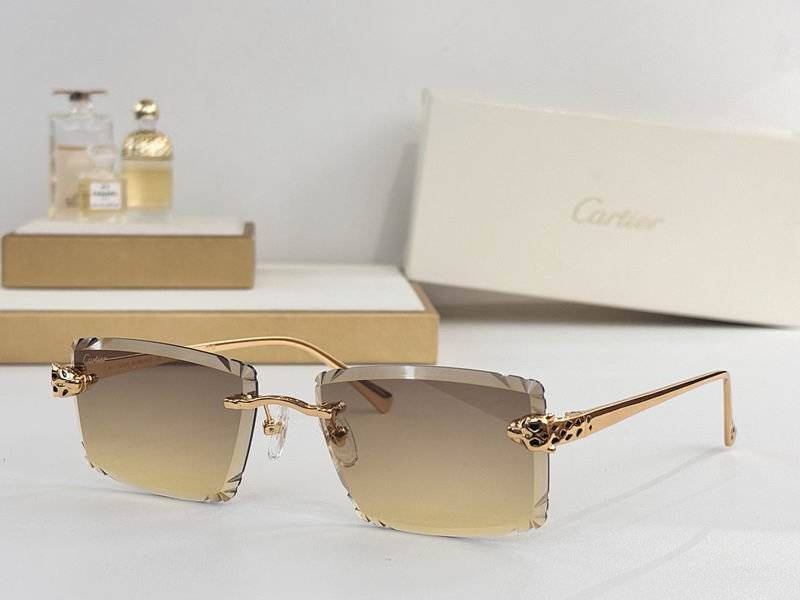 Cartier Glasses smr (72)