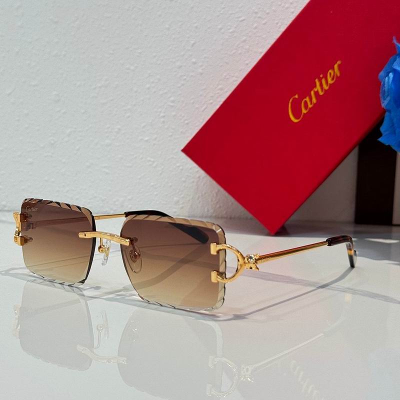 Cartier Glasses smr (720)