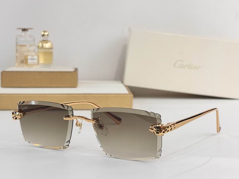 Cartier Glasses smr (73)