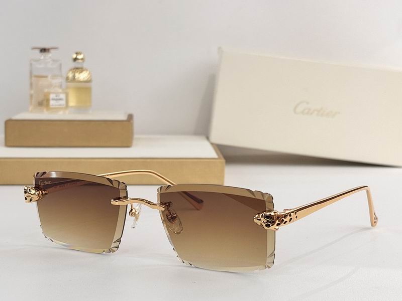 Cartier Glasses smr (74)