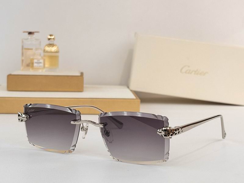 Cartier Glasses smr (76)