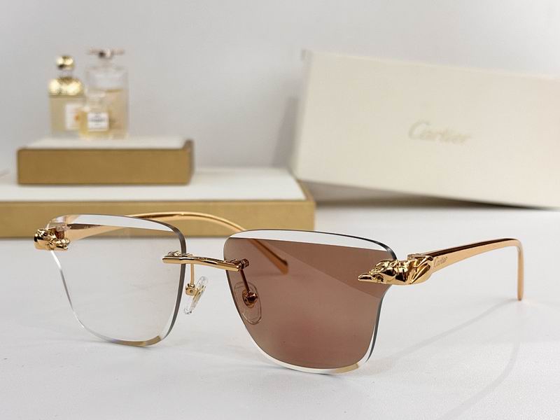 Cartier Glasses smr (78)