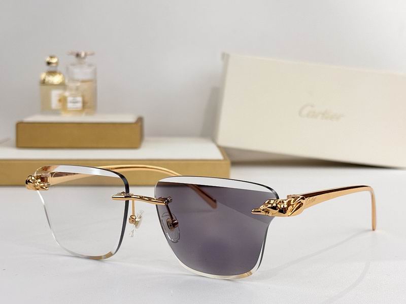 Cartier Glasses smr (79)