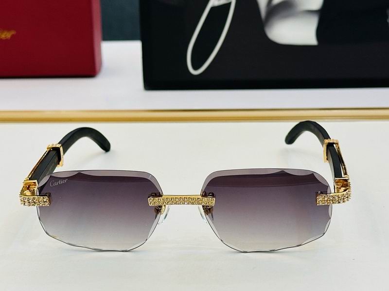 Cartier Glasses smr (8)