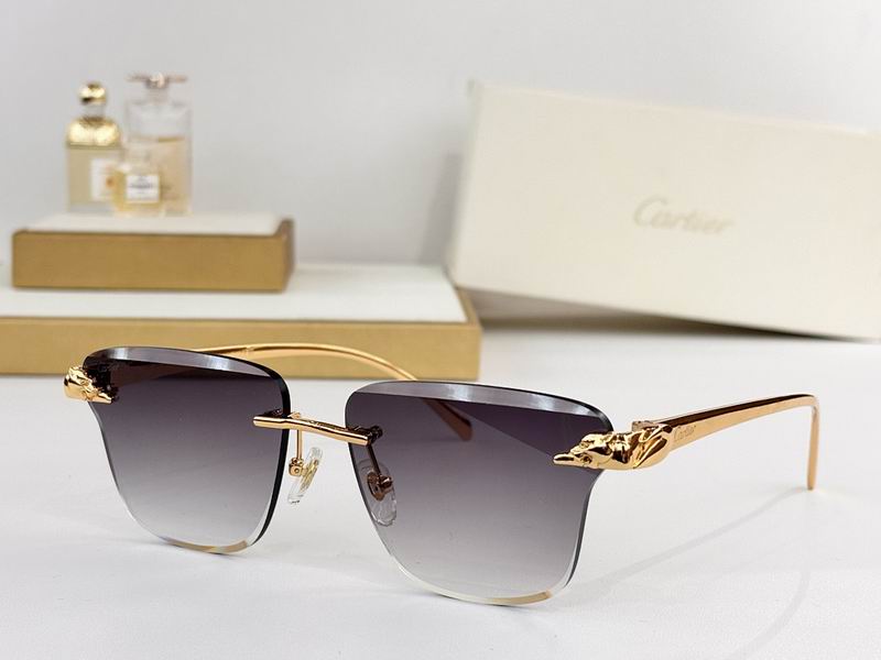 Cartier Glasses smr (80)
