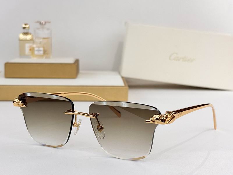 Cartier Glasses smr (83)
