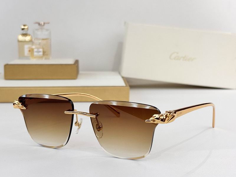 Cartier Glasses smr (84)