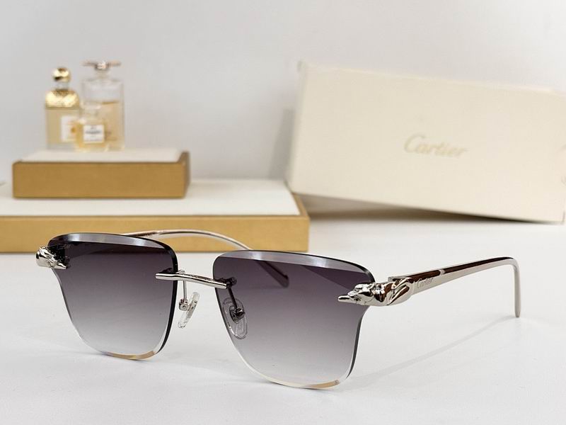Cartier Glasses smr (85)