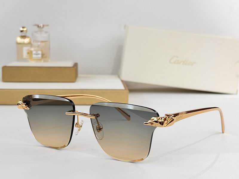 Cartier Glasses smr (86)