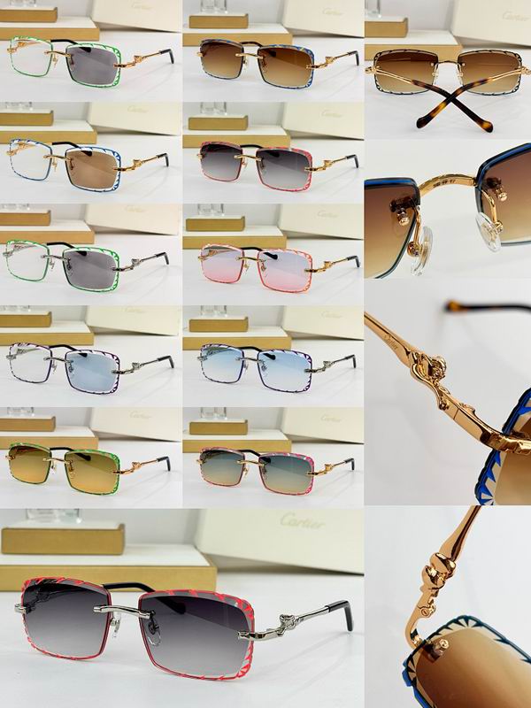 Cartier Glasses smr (87)