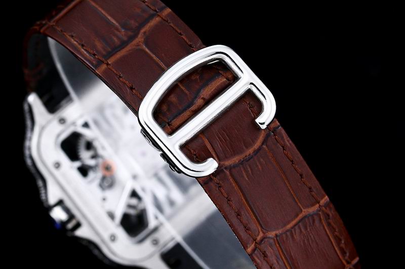 Cartier watch 24 (10)