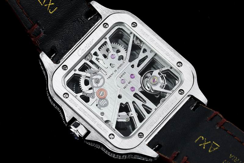 Cartier watch 24 (11)