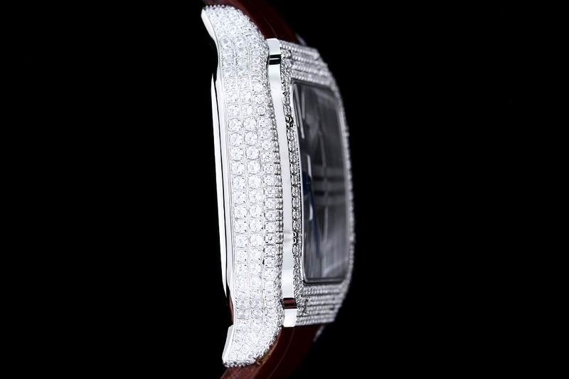 Cartier watch 24 (12)