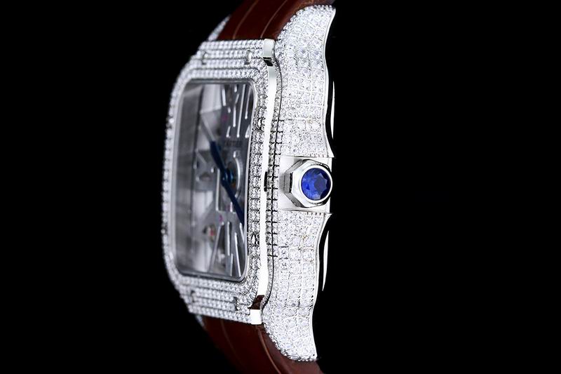 Cartier watch 24 (13)