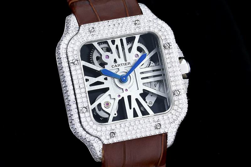 Cartier watch 24 (15)