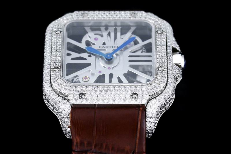 Cartier watch 24 (16)