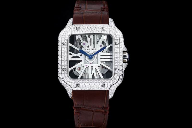 Cartier watch 24 (18)