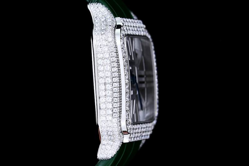 Cartier watch 24 (21)