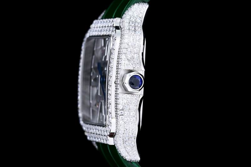 Cartier watch 24 (22)