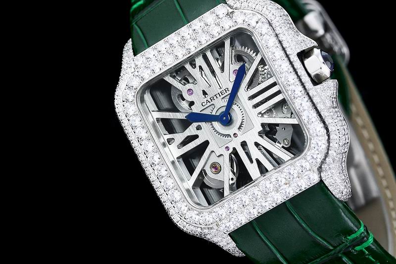Cartier watch 24 (23)